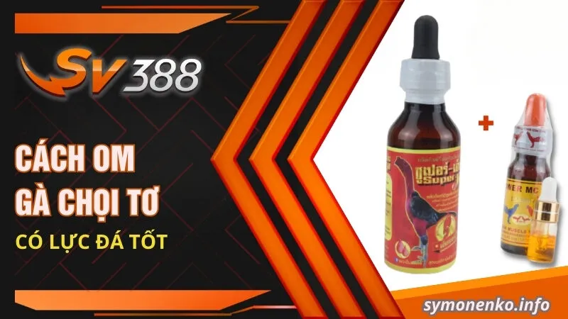Cách Om Gà Chọi Tơ Cực Đơn Giản Và Hữu Hiệu Cho Sư Kê 4 Cách om gà chọi tơ có lực đá tốt