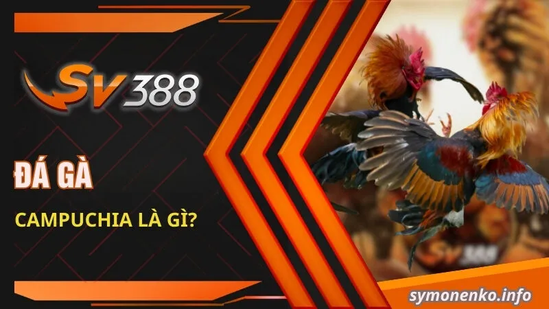 Đá Gà Campuchia - Hành Trình Chinh Phục Sân Đấu Của Những Chiến Kê 2 Đá gà Campuchia là gì