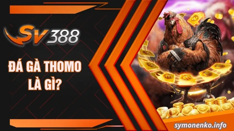 Đá Gà Thomo| Mách Bạn Những Sự Thật Bí Ẩn Xung Quanh Nó 2 Đá gà Thomo là gì?