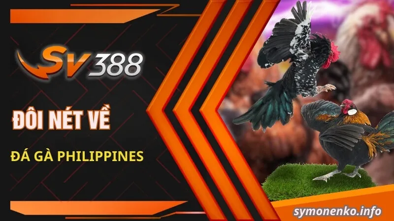 Đá Gà Philippines - Trải Nghiệm Không Khí Sôi Động, Thăng Hoa 2 Đôi nét về đá gà Philippines