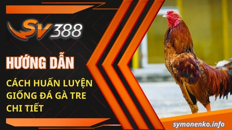 Đá Gà Tre Và Những Bí Mật Chưa Ai Tiết Lộ Cho Bạn 4 Hướng dẫn cách huấn luyện giống đá gà tre chi tiết