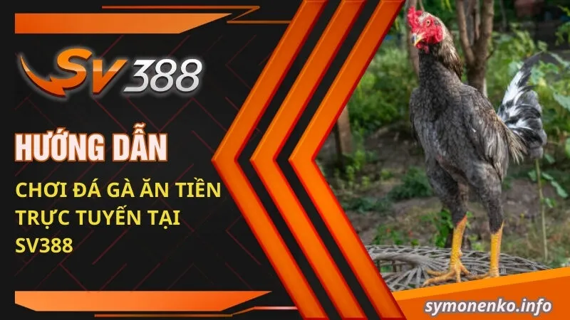 Kinh Nghiệm Chơi Đá Gà Ăn Tiền Trực Tuyến Luôn Thắng 2025 4 Hướng dẫn chơi đá gà ăn tiền trực tuyến tại SV388