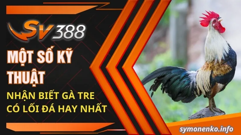 Đá Gà Tre Và Những Bí Mật Chưa Ai Tiết Lộ Cho Bạn 3 Một số kỹ thuật nhận biết gà tre có lối đá hay nhất