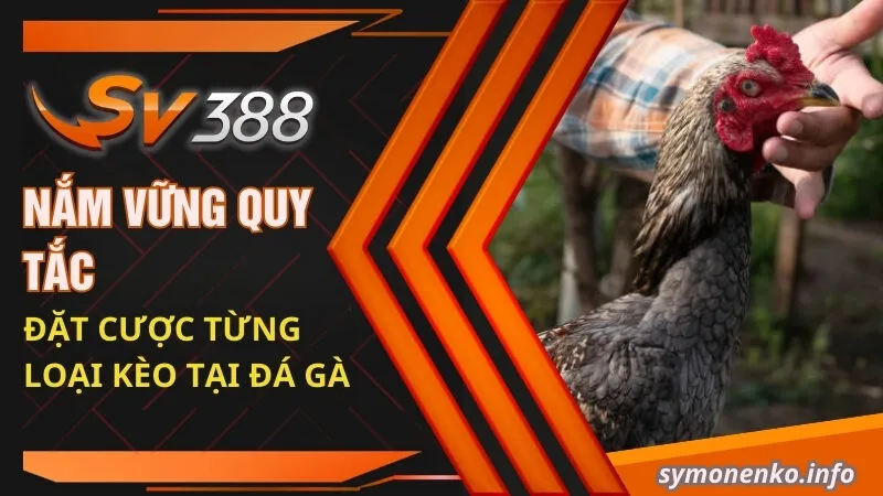 Kinh Nghiệm Chơi Đá Gà Ăn Tiền Trực Tuyến Luôn Thắng 2025 5 Nắm vững quy tắc đặt cược từng loại kèo tại đá gà