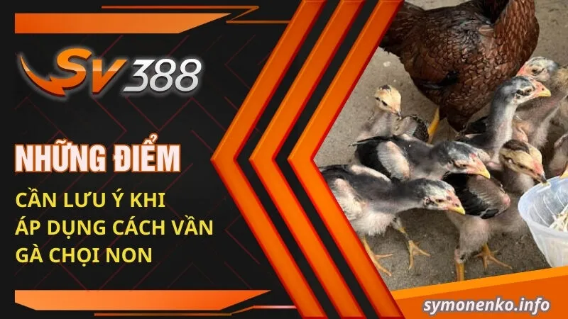 Cách Vần Gà Chọi Non: Tuyệt Chiêu Giúp Chiến Kê Toàn Thắng 6 Những điểm cần lưu ý khi áp dụng cách vần gà chọi non