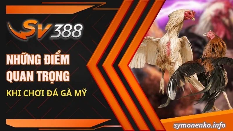 Đá Gà Mỹ - Sự Kết Hợp Hoàn Hảo Giữa Sức Mạnh Và Chiến Lược 4 Những điểm quan trọng khi chơi đá gà Mỹ