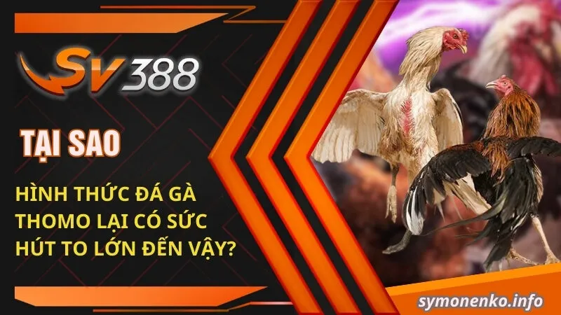 Đá Gà Thomo| Mách Bạn Những Sự Thật Bí Ẩn Xung Quanh Nó 3 Tại sao hình thức đá gà Thomo lại có sức hút to lớn đến vậy?
