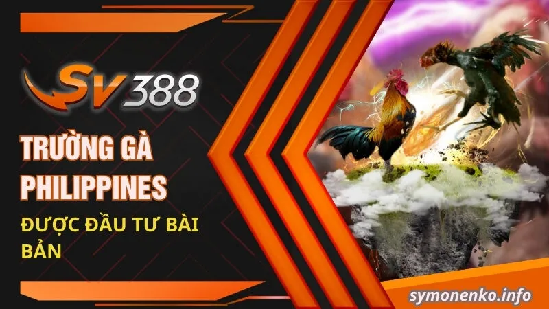 Đá Gà Philippines - Trải Nghiệm Không Khí Sôi Động, Thăng Hoa 4 Trường gà Philippines được đầu tư bài bản