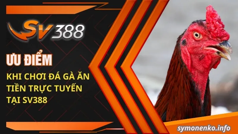 Kinh Nghiệm Chơi Đá Gà Ăn Tiền Trực Tuyến Luôn Thắng 2025 3 Ưu điểm khi chơi đá gà ăn tiền trực tuyến tại SV388