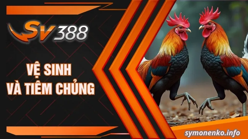 Thực Đơn Chế Độ Ăn Cho Gà Đá Cựa Sắt Hiệu Quả Nhất 2025 5 Vệ sinh và tiêm chủng