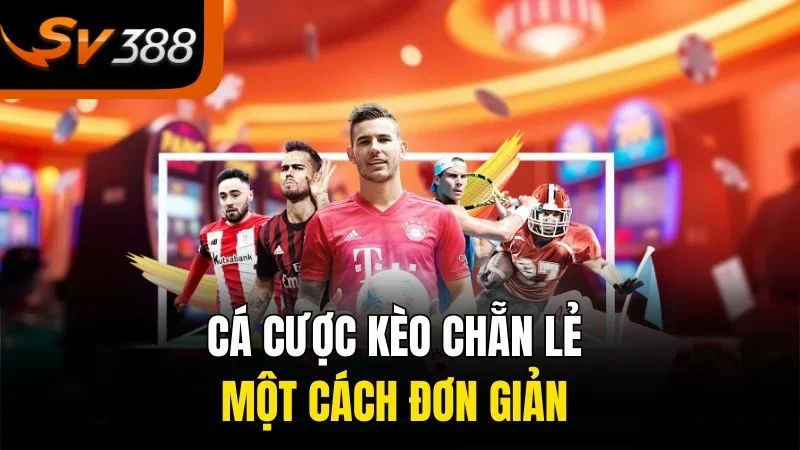 Cá cược kèo chẵn lẻ một cách đơn giản 