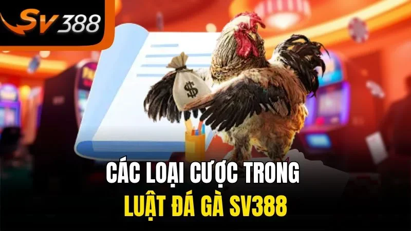 Hướng Dẫn Đầy Đủ Về Luật Đá Gà SV388 Cho Tân Thủ 4 Các loại cược trong luật đá gà SV388