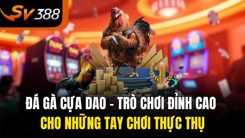 da ga cua dao tro choi dinh cao cho nhung tay choi thuc thu